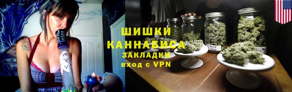 сатива Верхний Тагил