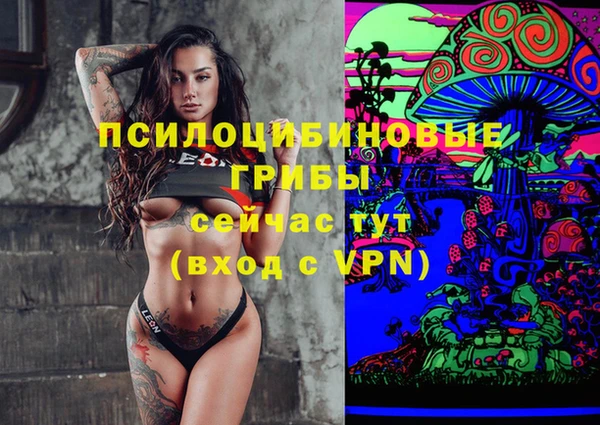 Альфа ПВП Верхнеуральск