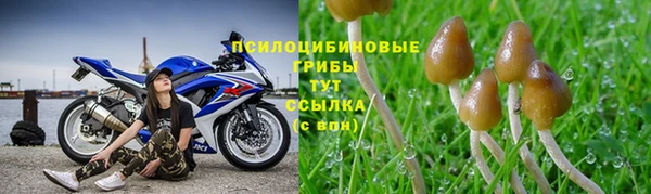 сатива Верхний Тагил